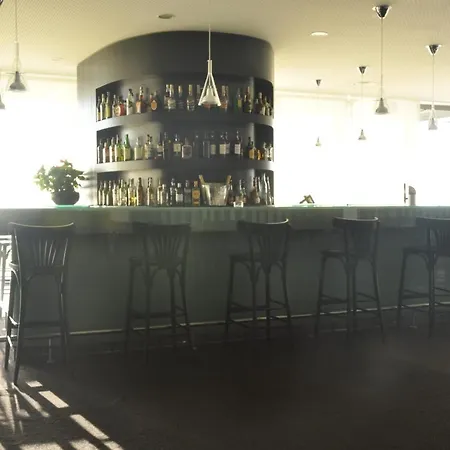 夫劳德萨尔酒店 4* 维亚纳堡