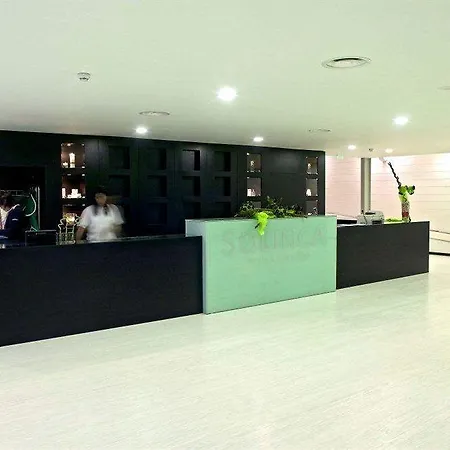 夫劳德萨尔酒店 酒店