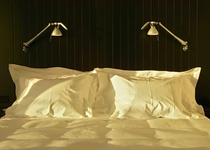 Flor De Sal Viana do Castelo